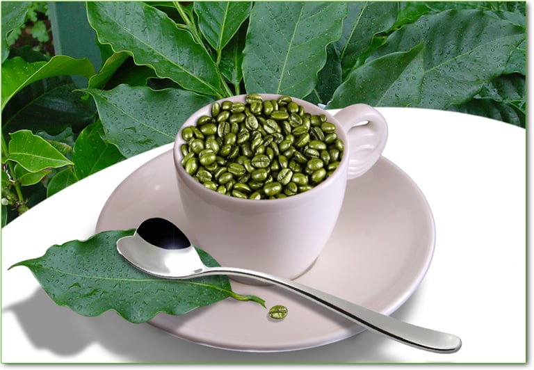Immagine: Caffè verde: proprietà e reali benefici