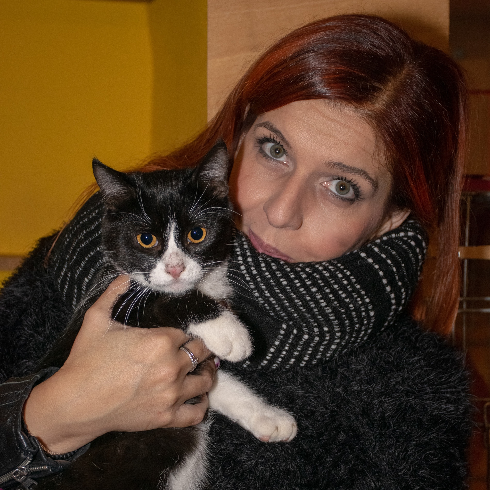 Immagine: Io, madrina del gattile I GattAstri di Piossasco