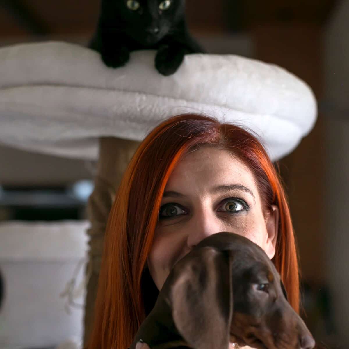 Immagine: La medicina comportamentale e la dottoressa Raffaella Bestonso