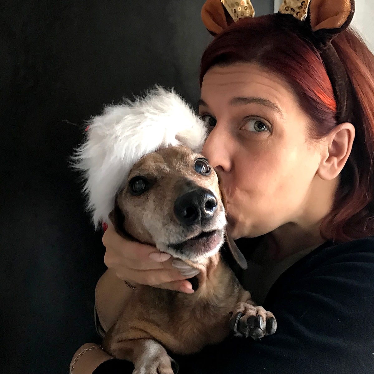 Immagine: Un cucciolo per Natale