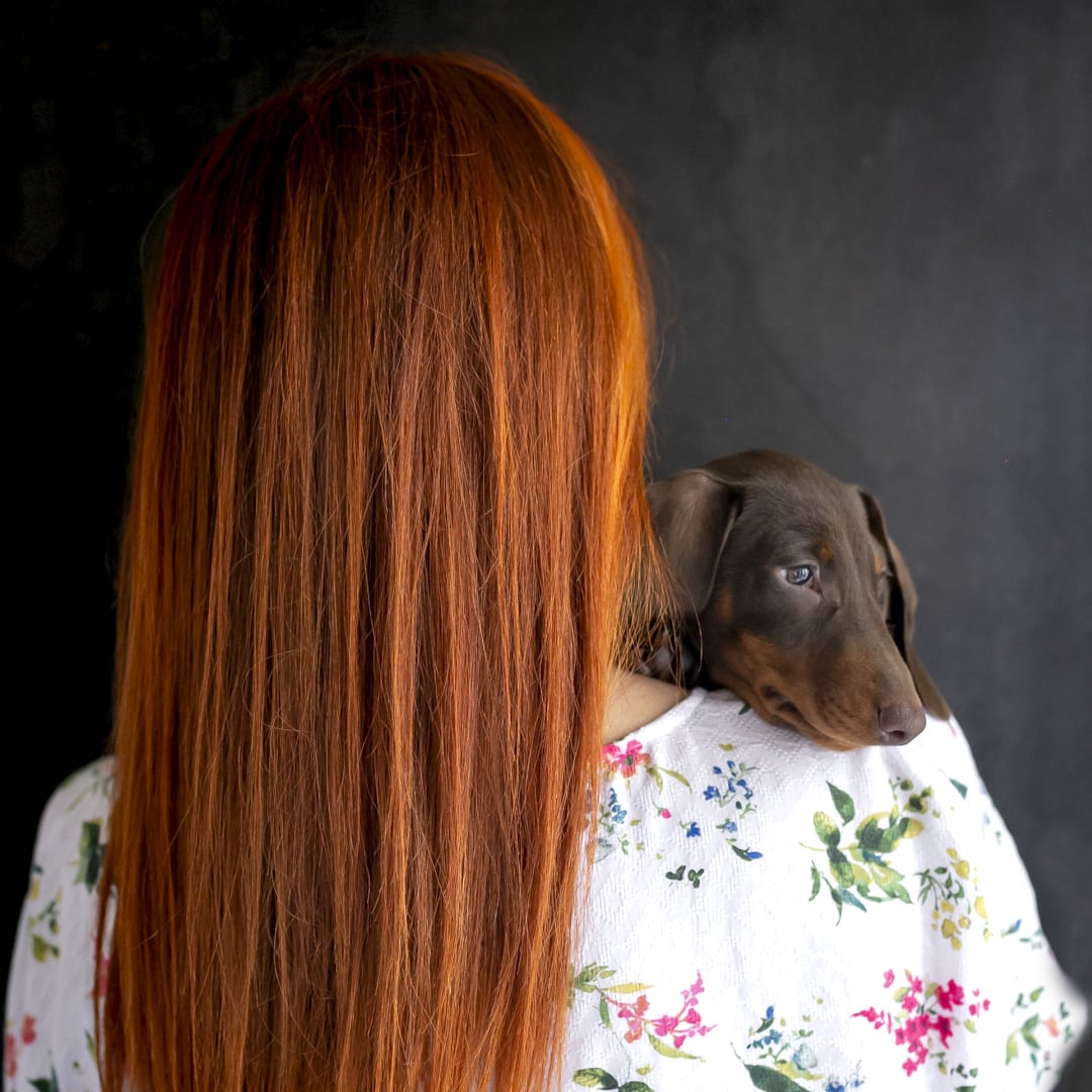 Immagine: La dieta casalinga per cani e gatti