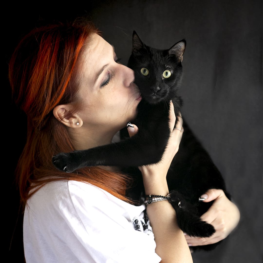 Immagine: Il linguaggio e il comportamento dei gatti