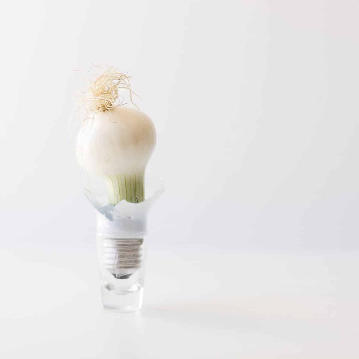 Immagine: Marino Scalas e la sua bacheca Instagram come @libricino