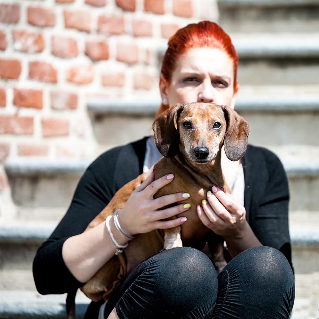 Immagine: Il mio cane abbaia quando è da solo in casa: come fare?