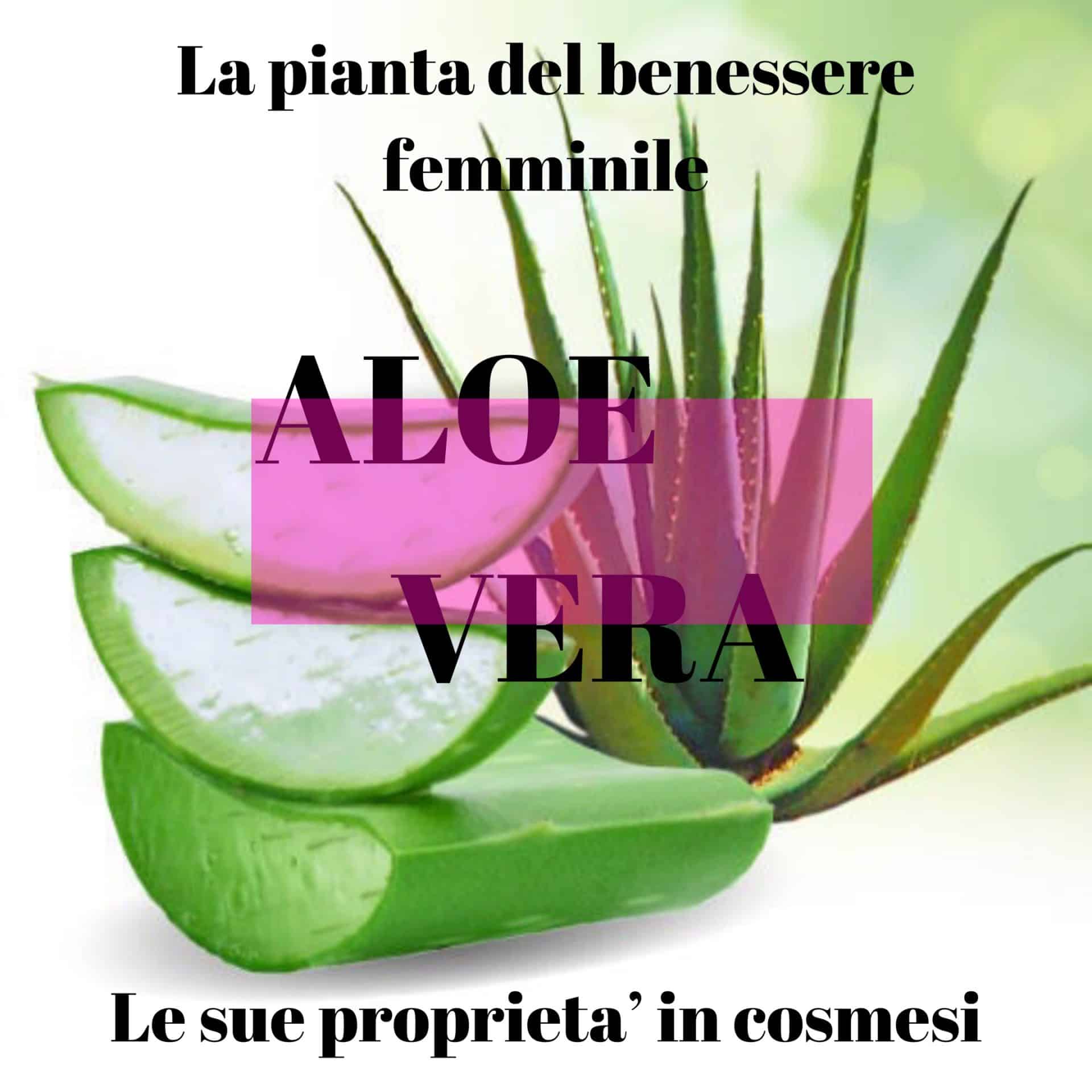 Immagine: Aloe vera: proprietà cosmetiche