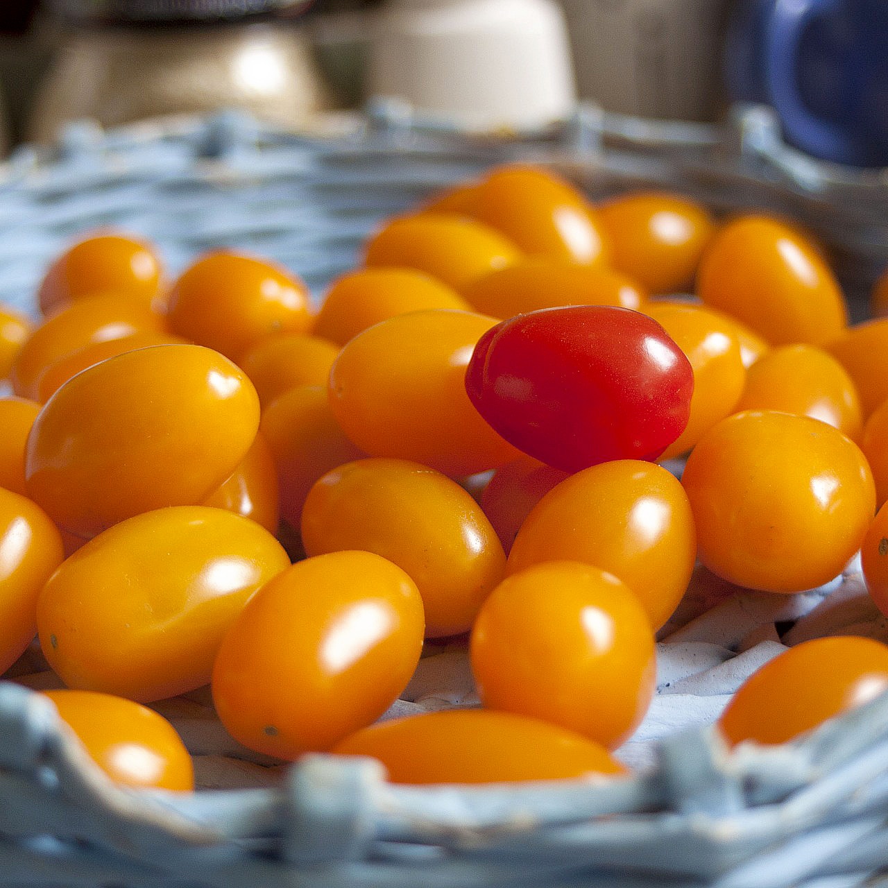 Immagine: Datterino giallo: ricette per ottimi primi e secondi
